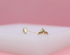 A pair of shiny gold whale tail stud earrings rests on a white display surface against a soft pink background.