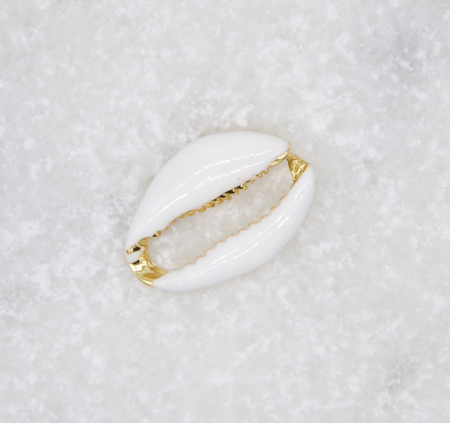 A glossy white cowrie shell with gold trim rests on a textured white marble surface.