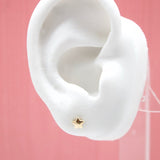 18K Gold Filled Star Stud Earrings