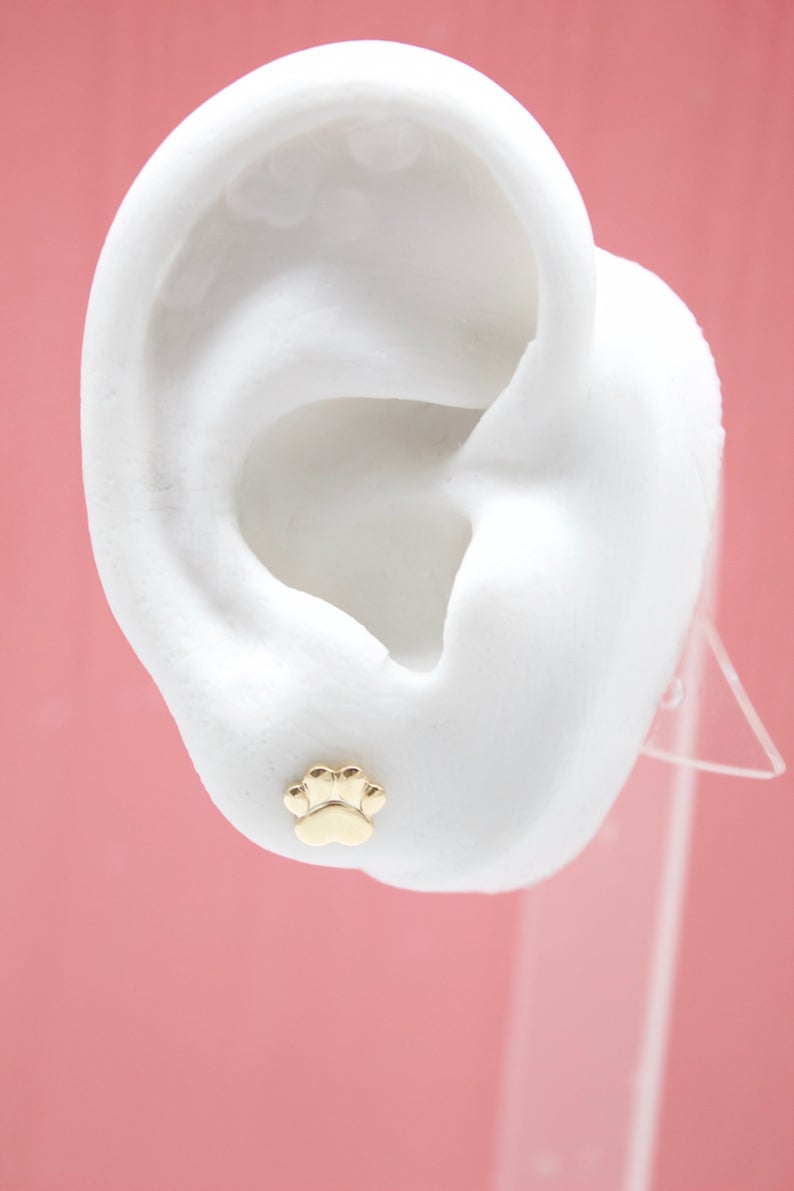 A white mannequin ear displays a shiny gold paw print stud earring against a pink background.