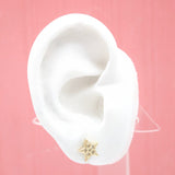 18K Gold Filled Star Stud Earrings With Micro CZ Stones